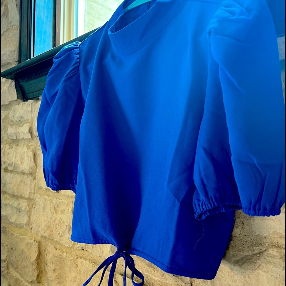 Royal blue, puff sleeve, button back, high neck